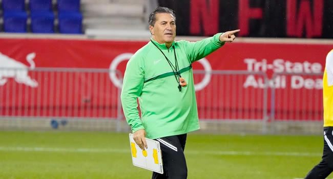 Cover image for Ministry, NFF lobbying to bring Peseiro back